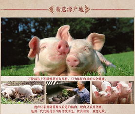 杭州特產(chǎn)萬隆熟香腸 肉棗紅腸即食零食品的經(jīng)典風(fēng)味